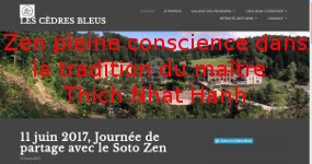 pleine conscience les cèdres bleus.