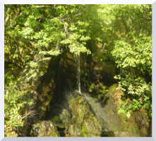  Genkaku-ji cascade. 