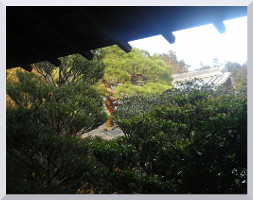  Ryoan-ji arbre toit. 